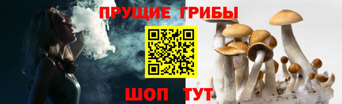 Псилоцибиновые грибы Psilocybine cubensis Мелеуз